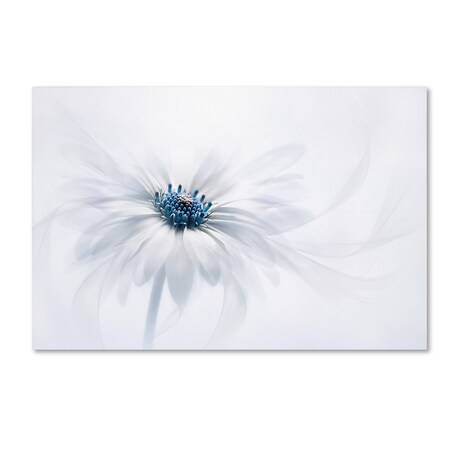 Trademark Fine Art Jacky Parker 'Serenity' Canvas Art, 30x47 1X01311-C3047GG